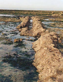 L'ancien égout