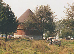Le pigeonnier